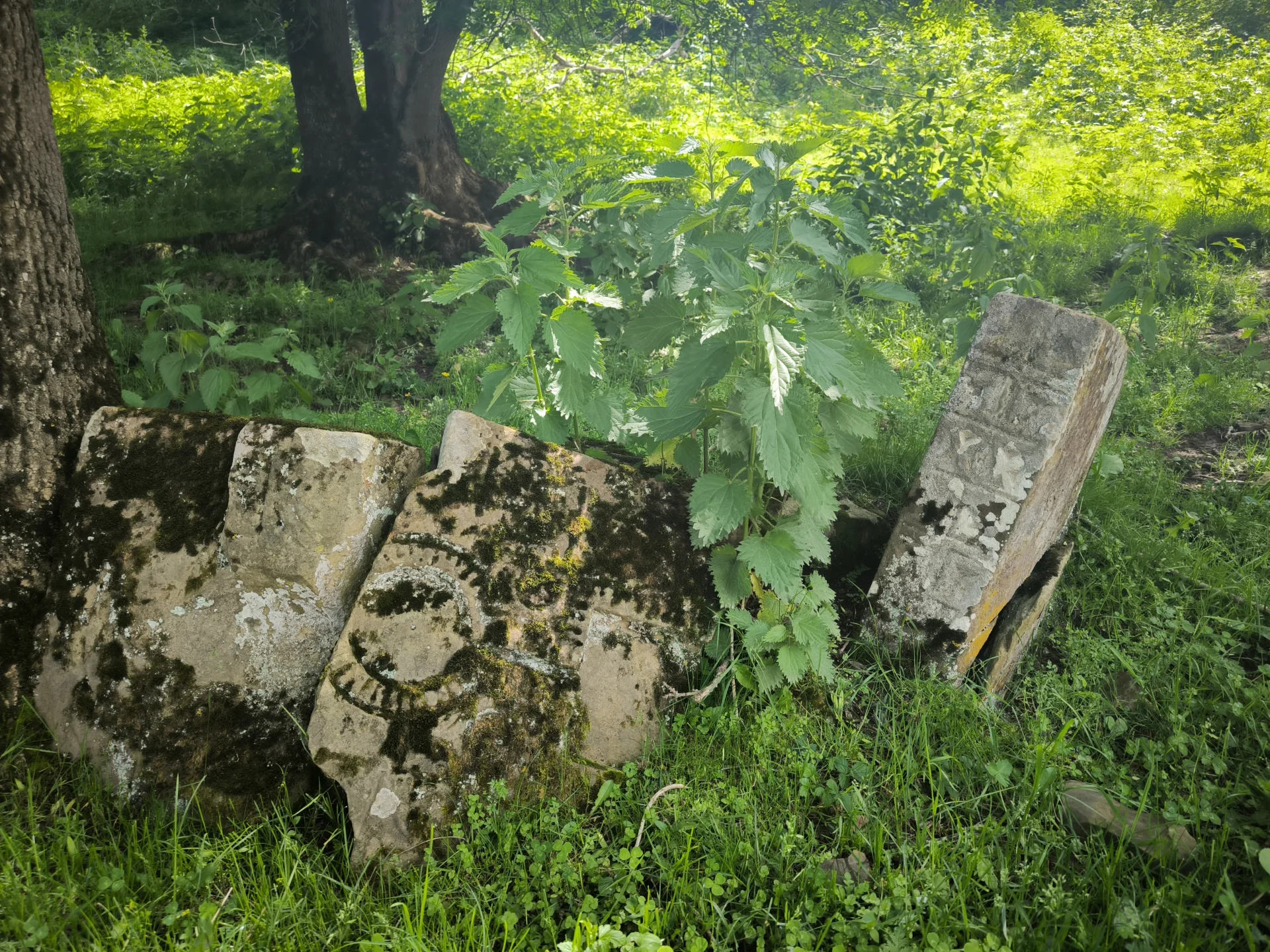Хивский район