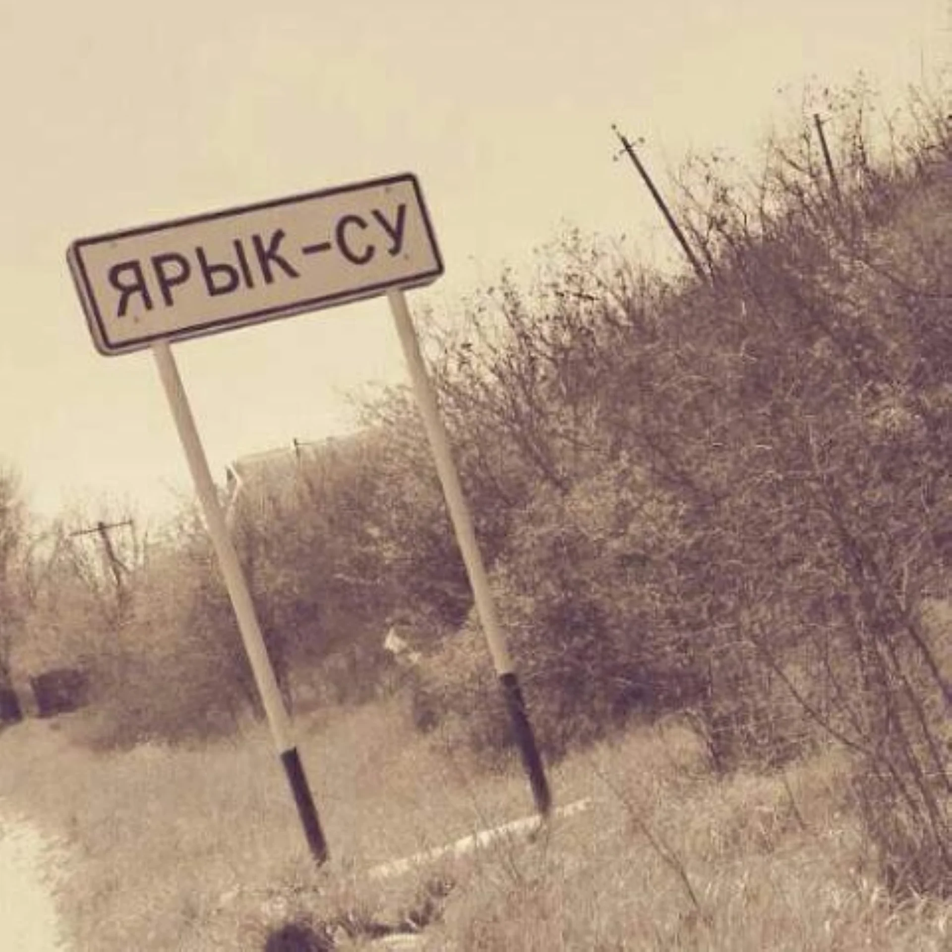 Новолакский район