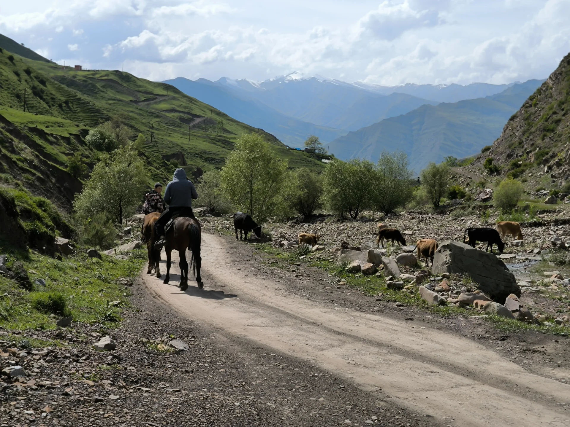 Шамильский район