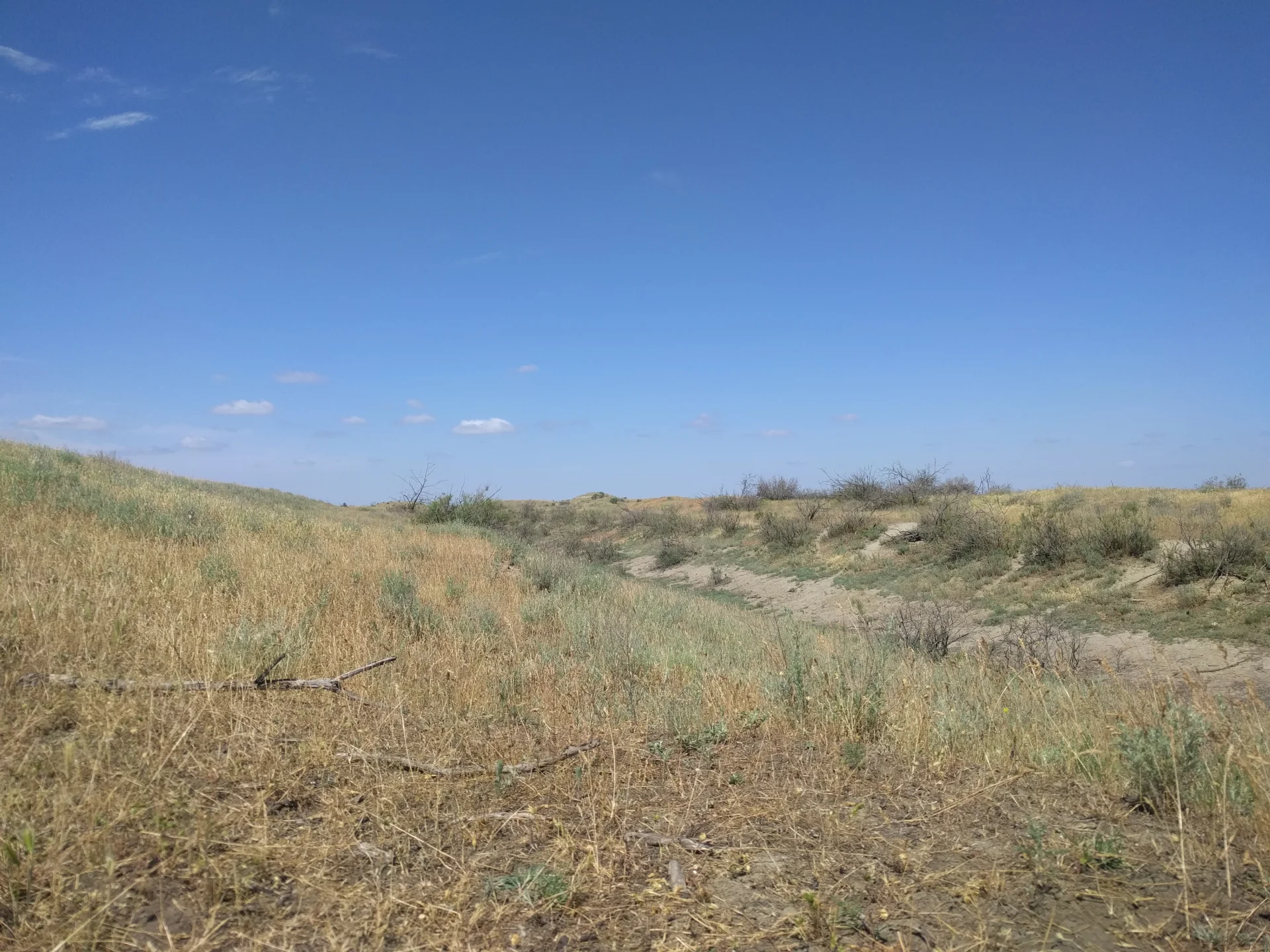 Тарумовский район