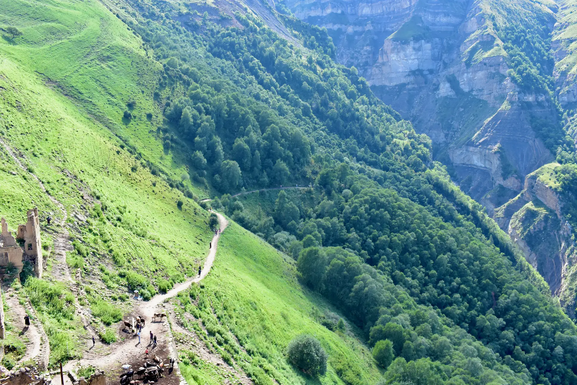 Гамсутль