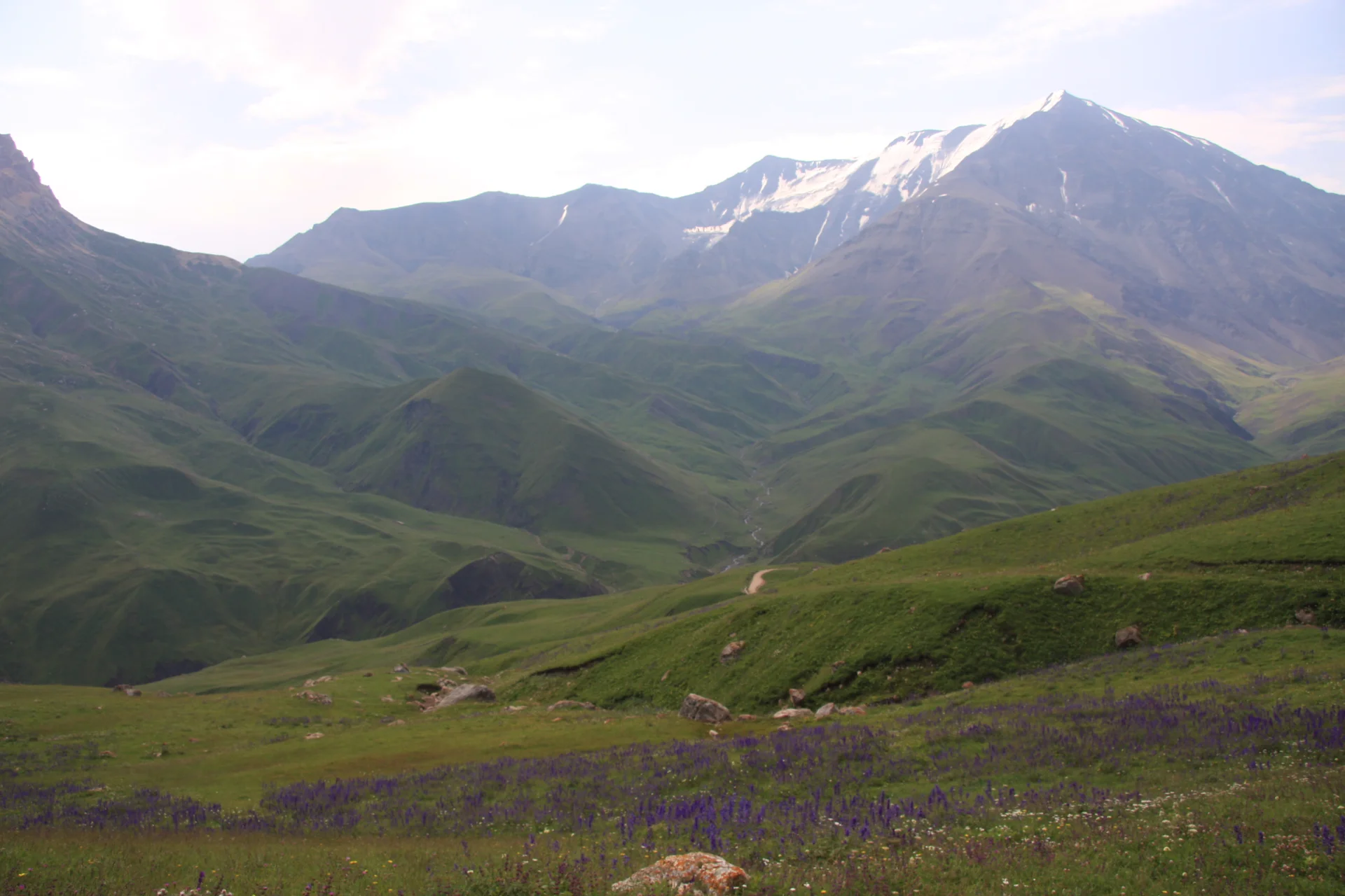 Аул Куруш