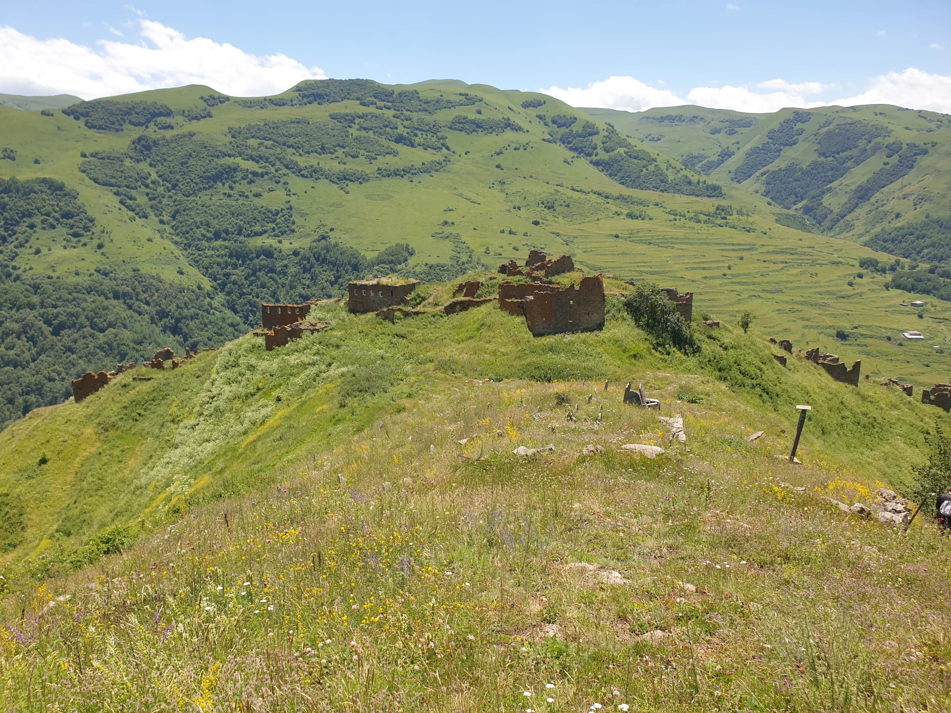 Амузги