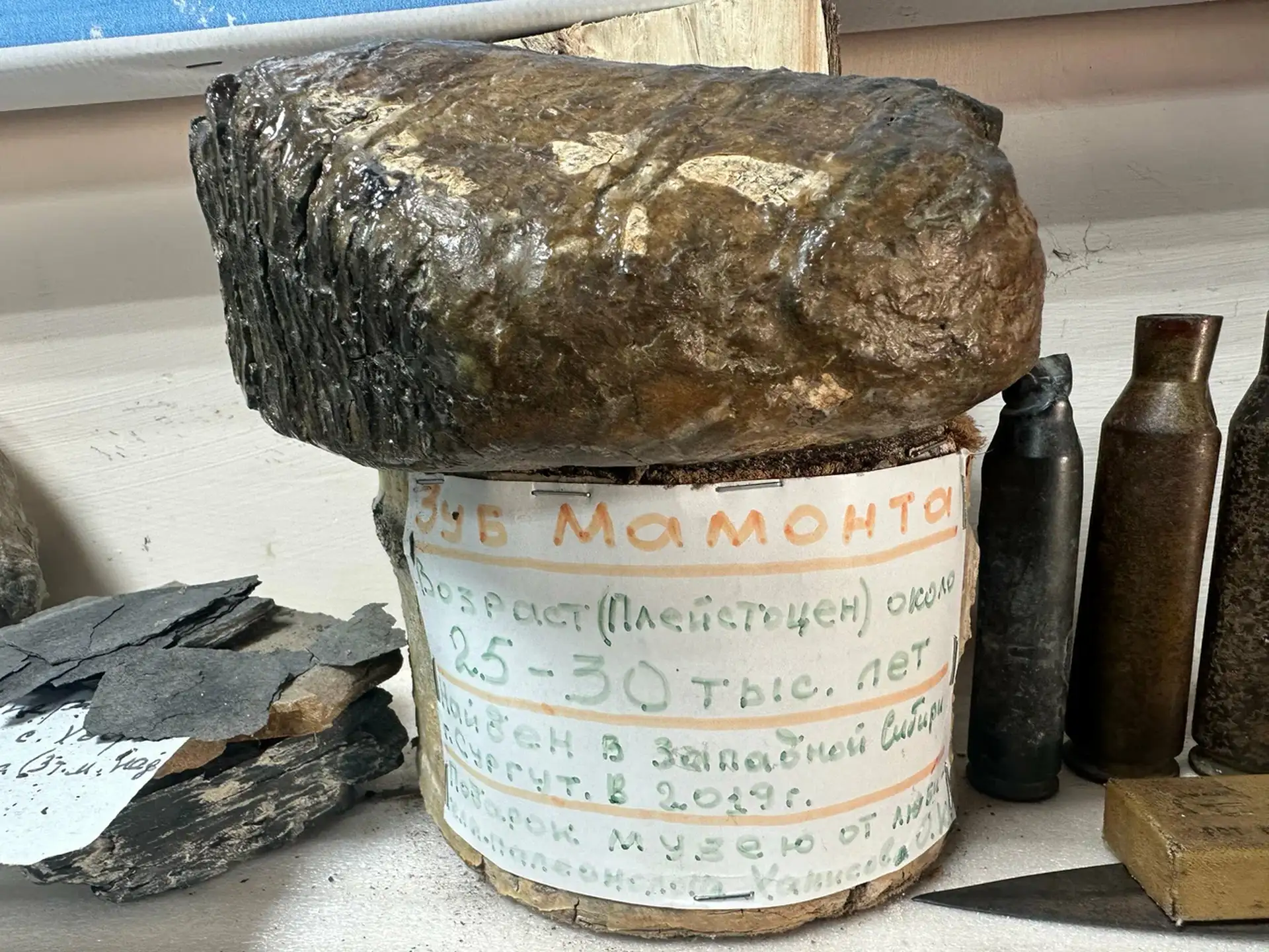 Куппинский палеонтологический музей